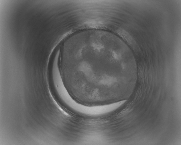 X0000070180630200606091507