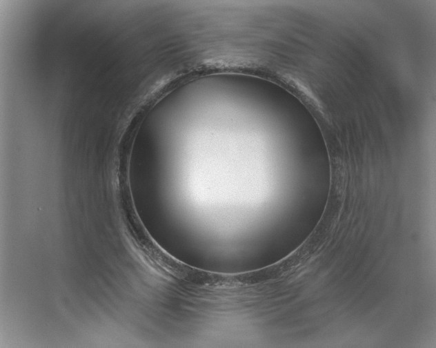 X0000070180631200606091507