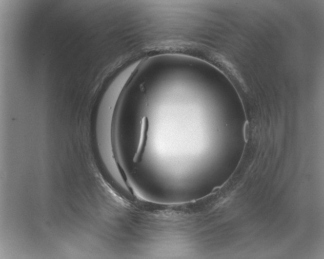 X0000070180633200606091507