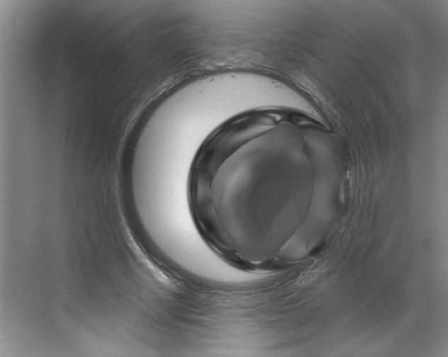 X0000070180634200606091507