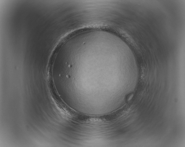 X0000070180636200606091507