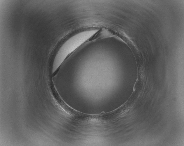 X0000070180637200606091507