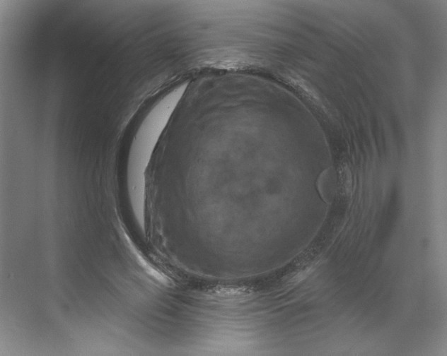 X0000070180638200606091507