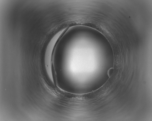 X0000070180639200606091507