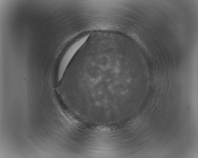 X0000070180640200606091507