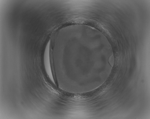 X0000070180641200606091507