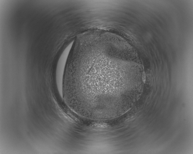 X0000070180642200606091507