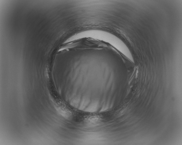 X0000070180643200606091507