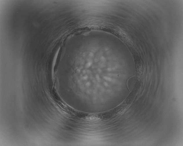 X0000070180644200606091507