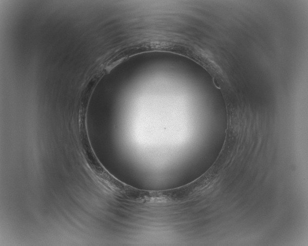 X0000070180645200606091507