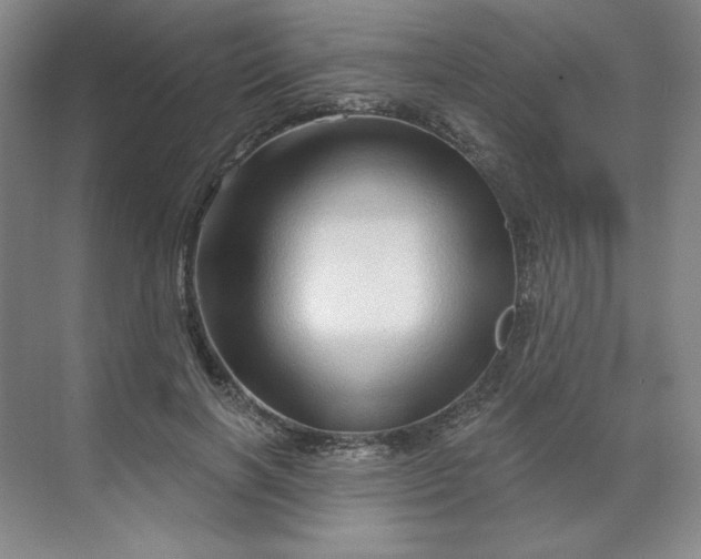 X0000070180646200606091508