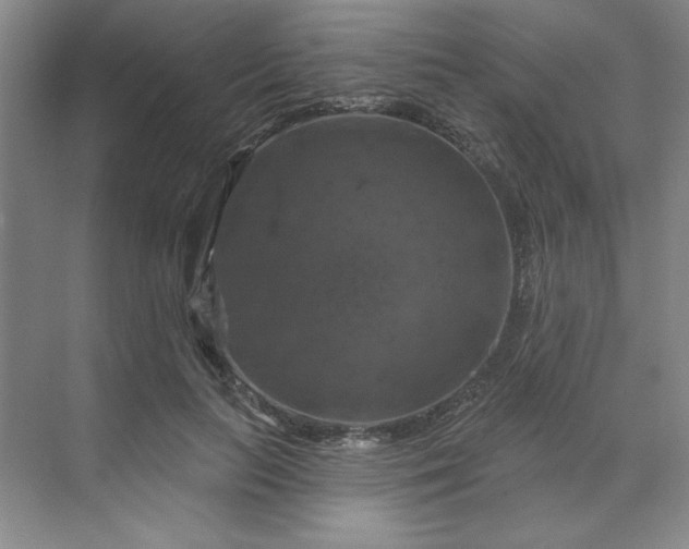 X0000070180647200606091508