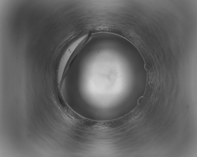 X0000070180648200606091508