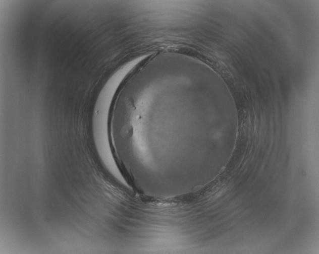 X0000070180649200606091508