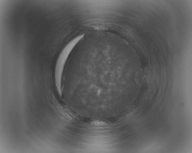 X0000070180650200606091508