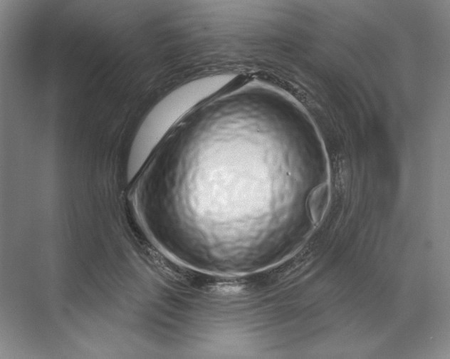 X0000070180651200606091508