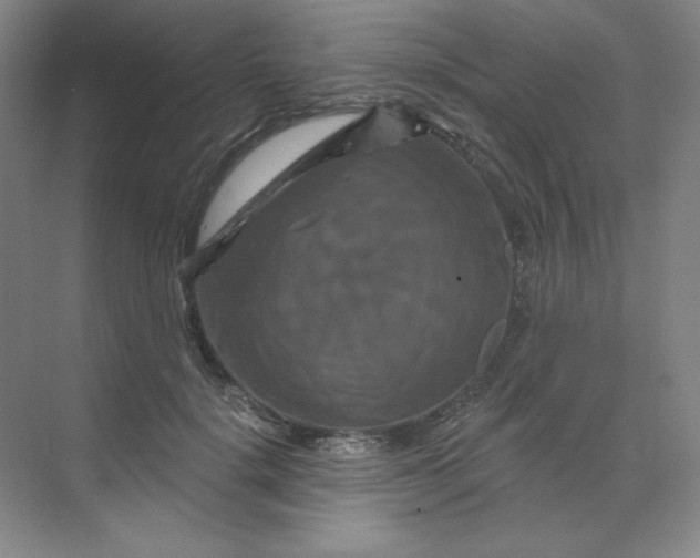 X0000070180652200606091508