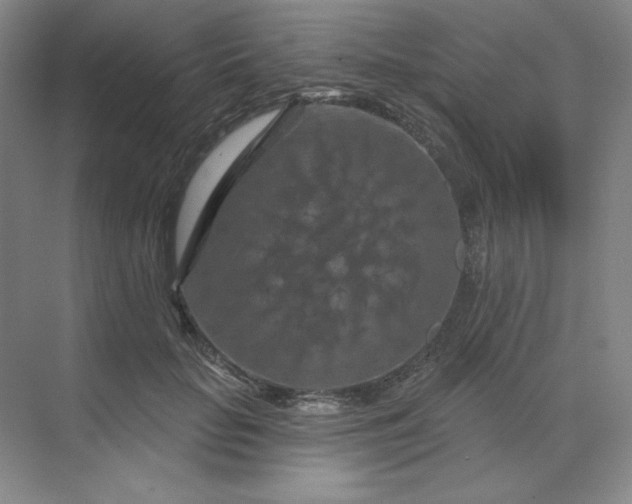 X0000070180653200606091508