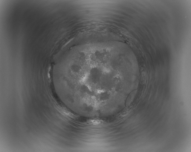 X0000070180654200606091508