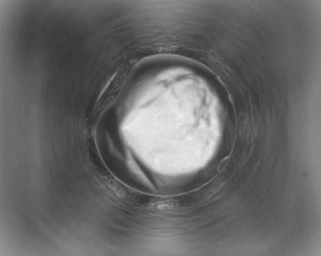 X0000070180655200606091508