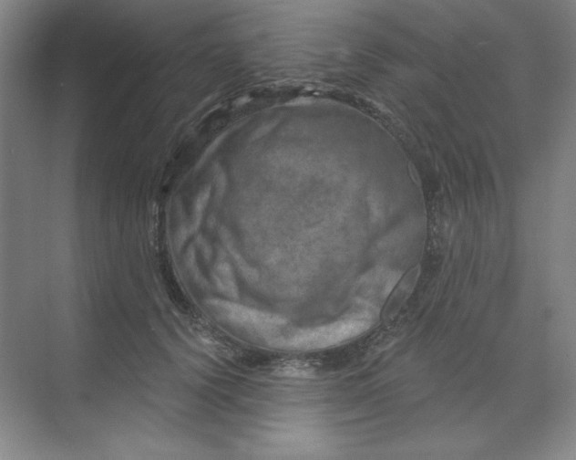 X0000070180656200606091508