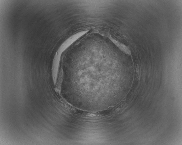 X0000070180657200606091508