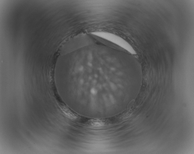 X0000070180658200606091508