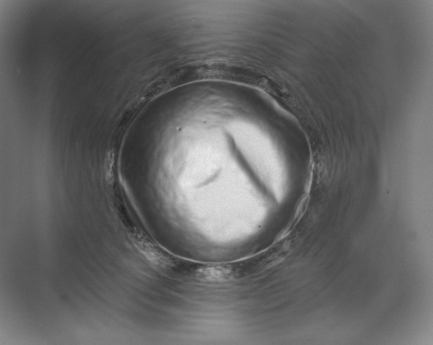 X0000070180660200606091508