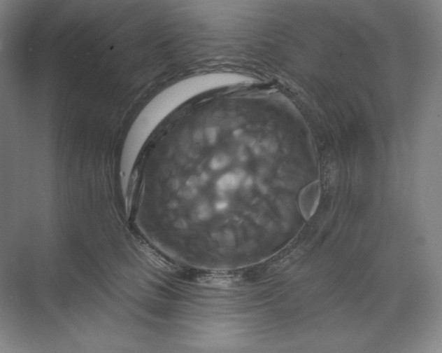 X0000070180661200606091508