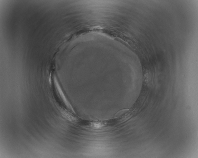 X0000070180662200606091508