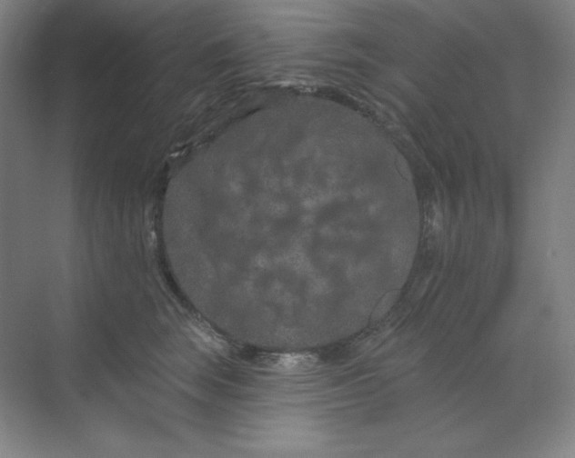 X0000070180663200606091508