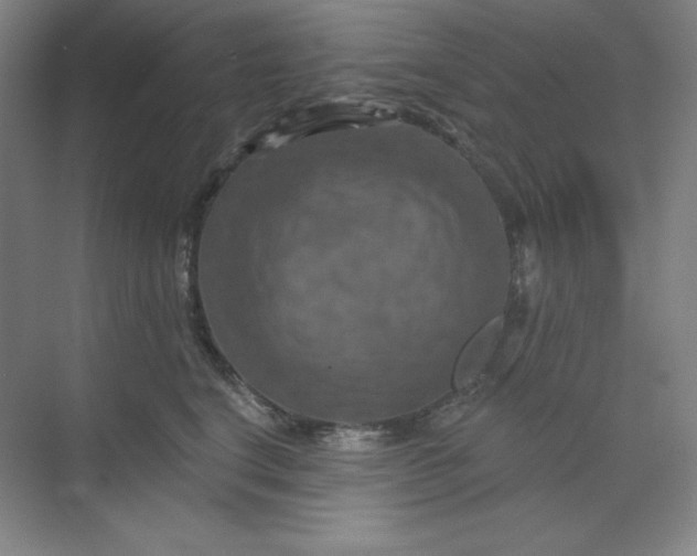 X0000070180664200606091508