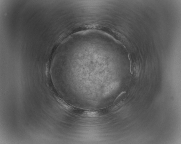 X0000070180665200606091508