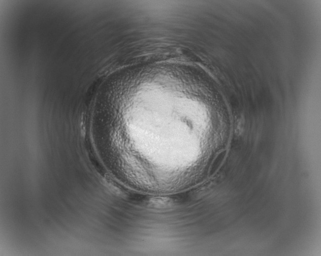 X0000070180666200606091508