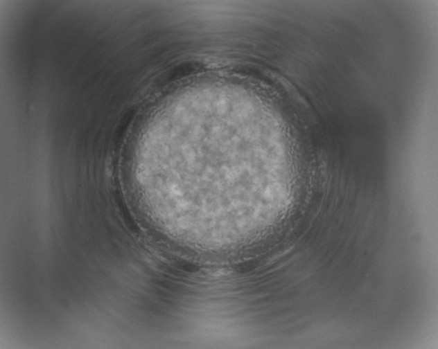 X0000070180667200606091508