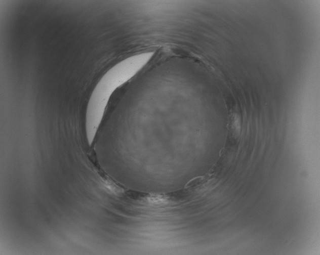 X0000070180668200606091508