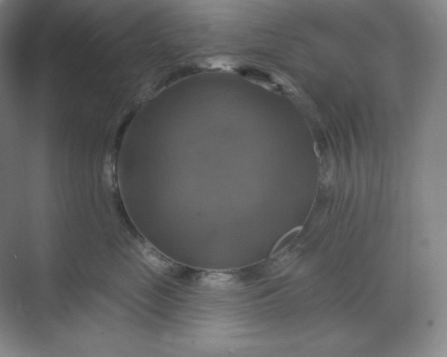 X0000070180669200606091508