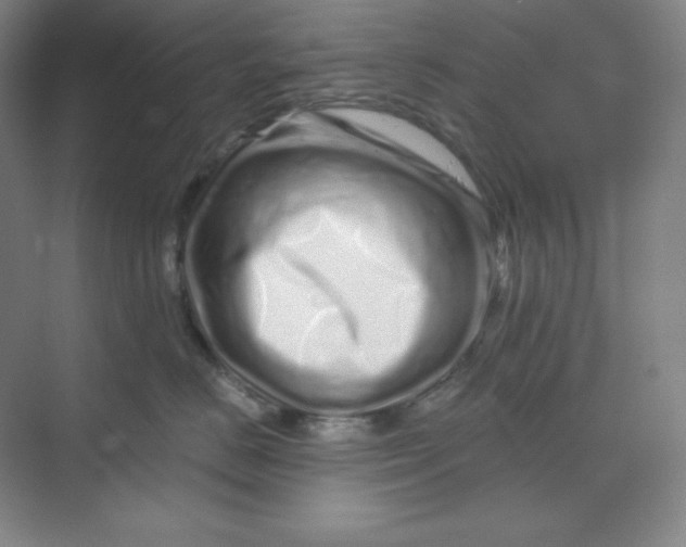 X0000070180670200606091508