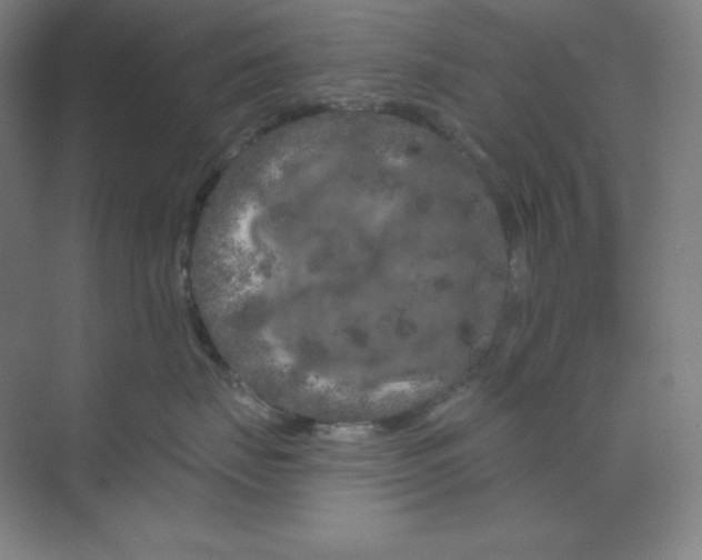 X0000070180671200606091508