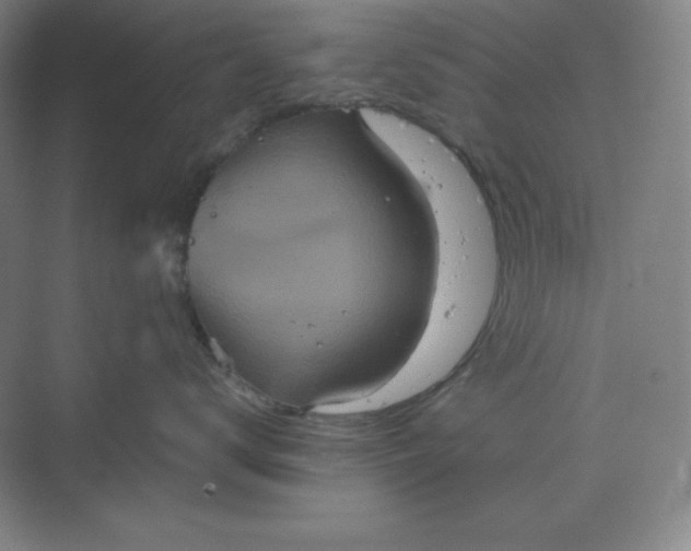 X0000070180672200606091508