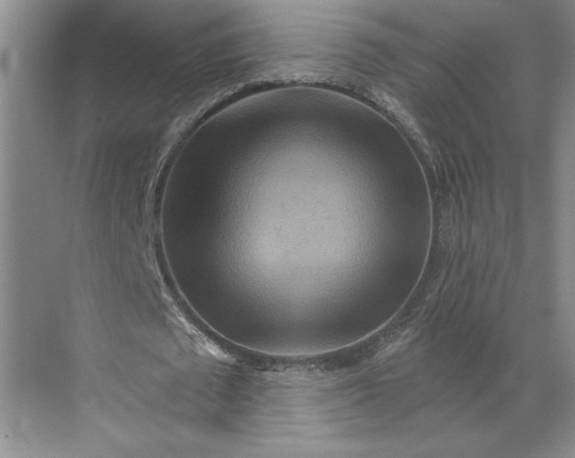 X0000070180673200606091507