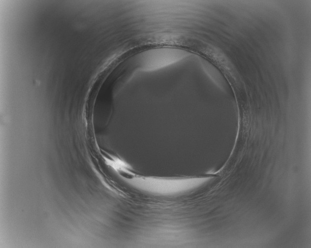 X0000070180674200606091507