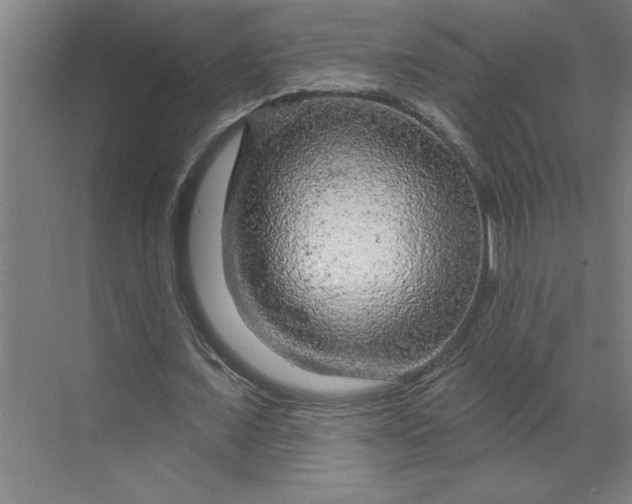 X0000070180675200606091507