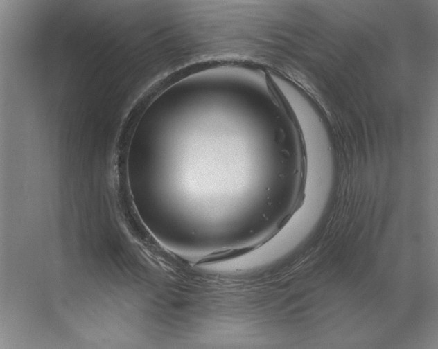 X0000070180676200606091507