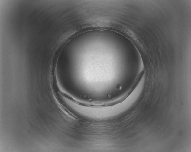 X0000070180677200606091507