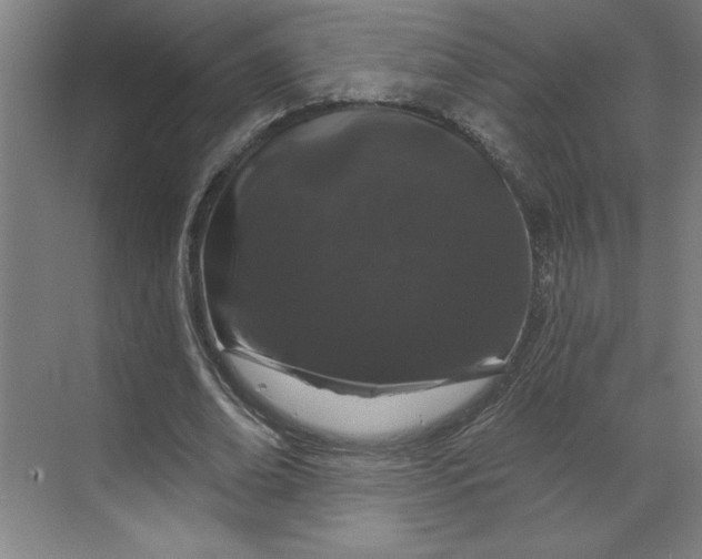 X0000070180678200606091507