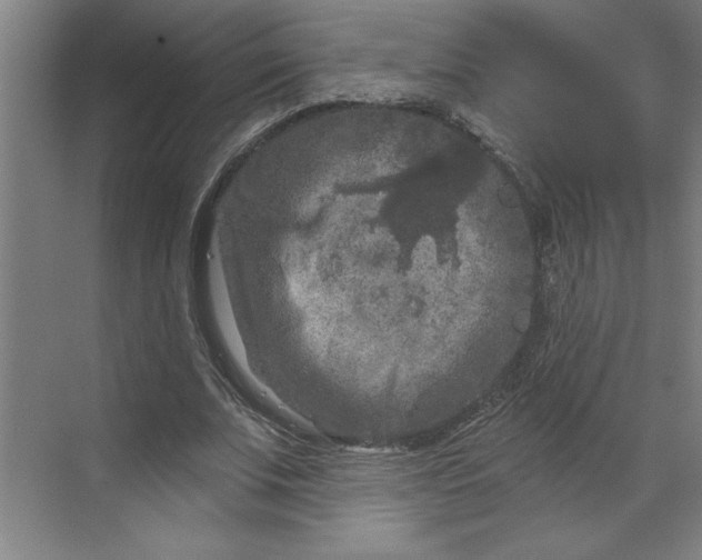 X0000070180679200606091507