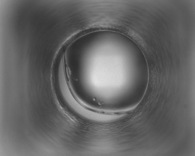 X0000070180680200606091507