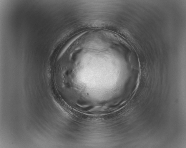 X0000070180683200606091507