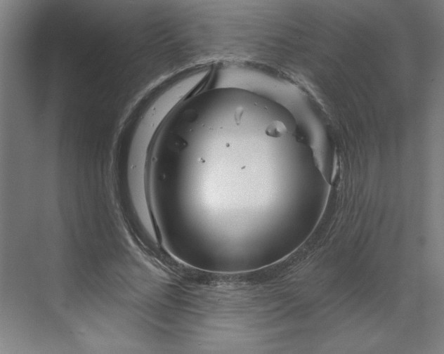 X0000070180684200606091507